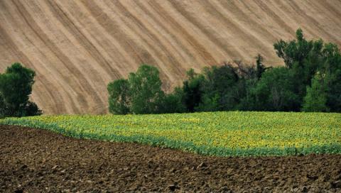 Ви зараз переглядаєте Мінагрополітики не фіксує ажіотажу на ринку землі – Сольський