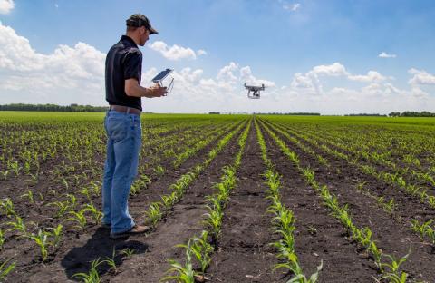 Ви зараз переглядаєте Сільськогосподарська промисловість США готується до футуристичного повітряного «Рою дронів»