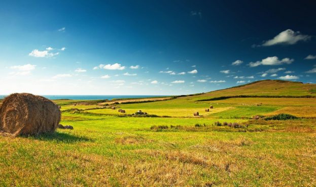 Ви зараз переглядаєте Як працює ринок землі в країнах ЄС