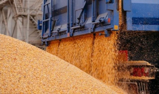 Ви зараз переглядаєте Польща не зможе самостійно вирішити «зернове питання» з Україною