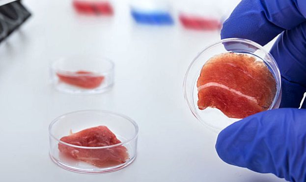 Ви зараз переглядаєте В ЄС вперше дегустували м’ясо із клітин