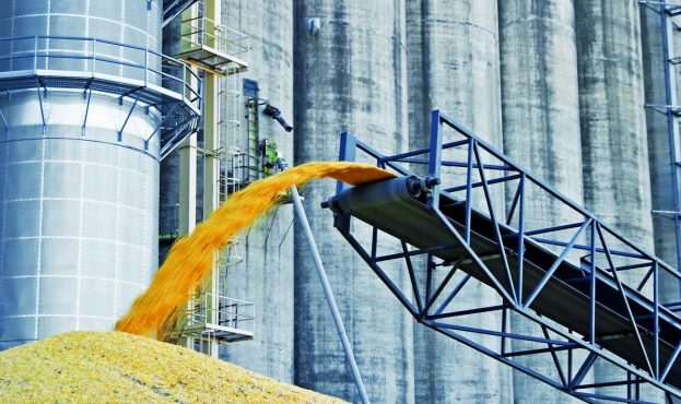 Ви зараз переглядаєте Зерноторговий підрозділ групи компаній Convex International активно купує кукурудзу на західних кордонах