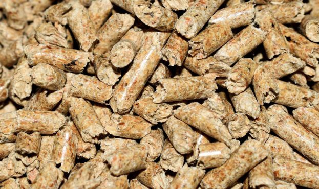 Ви зараз переглядаєте ЄС збільшив імпорт ріпакового шроту завдяки активізації поставок з рф та білорусі