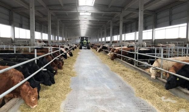 Ви зараз переглядаєте Озвучено 7 кроків до відкриття тваринницької ферми