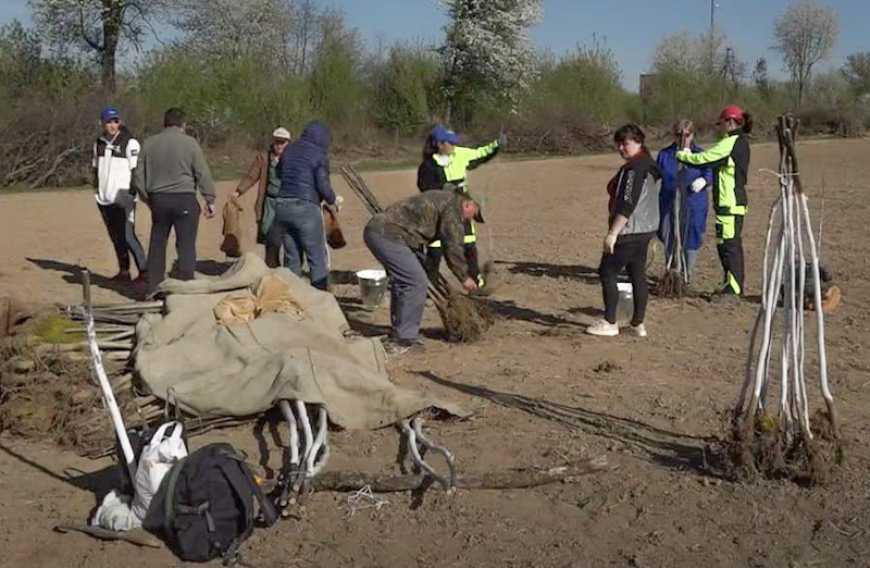 Ви зараз переглядаєте Навчально-виробничий горіховий сад висаджують біля Вінниці