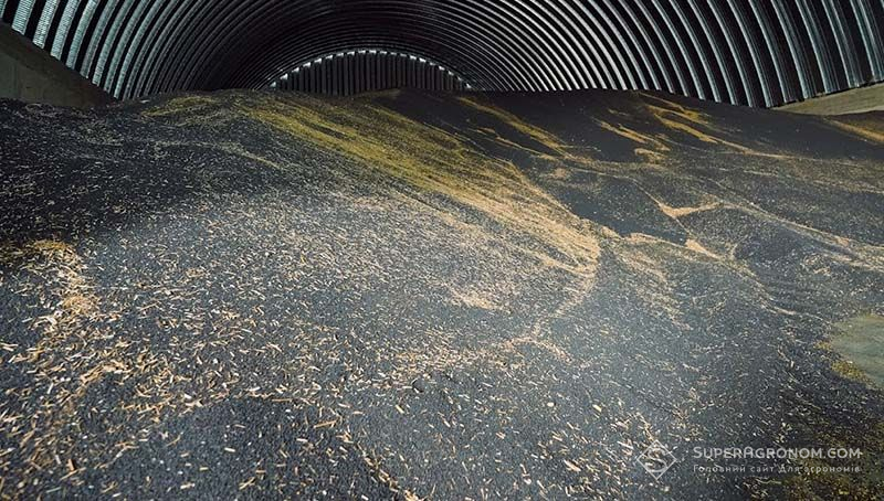 Ви зараз переглядаєте Попит на український ріпак може збільшитись через очікування нижчого врожаю в Європі