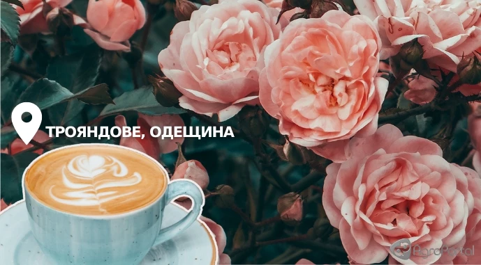 Ви зараз переглядаєте У неймовірному селі на Одещині з’явиться трояндова кав’ярня