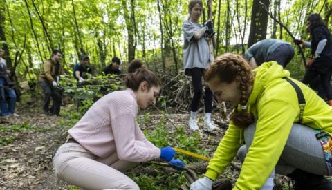 Ви зараз переглядаєте В Києві створюють перший в Україні терапевтичний сад