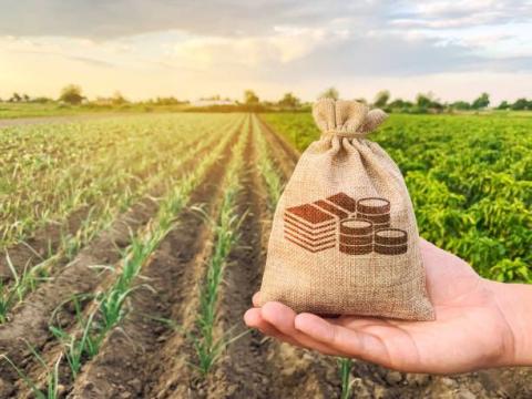 Ви зараз переглядаєте В ДАР продовжиться приймання заявок на окрему бюджетну субсидію на одиницю оброблюваних угідь (1 га) на звільнених територіях