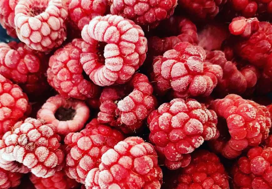 Ви зараз переглядаєте Україна увійшла до топ-5 основних експортерів замороженої малини в США