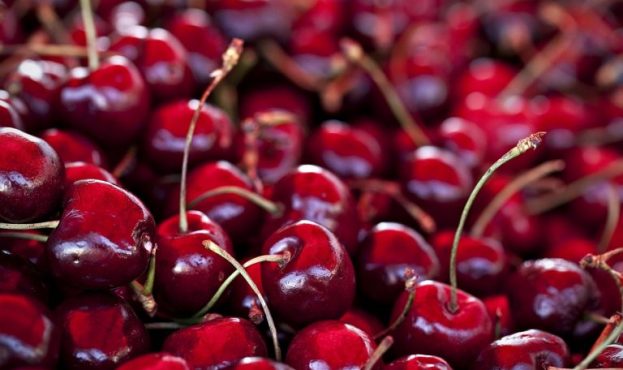 Ви зараз переглядаєте В Європі попит на черешню перевищує пропозицію