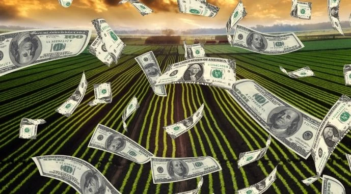 Ви зараз переглядаєте Агросектор України входить до сфер, цікавих інвесторам із Чилі