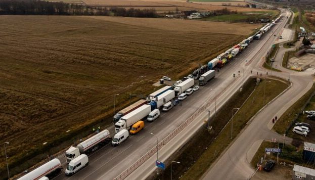 Ви зараз переглядаєте Стало відомо, як змінився експорт аграрної продукції після розблокування кордону з Польщею