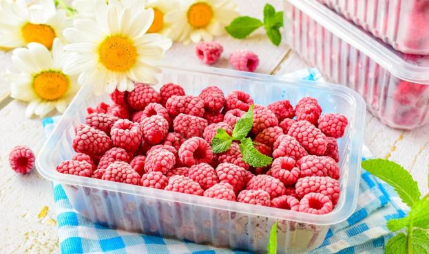 Ви зараз переглядаєте Названо ТОП 5 основних експортерів замороженої малини в США