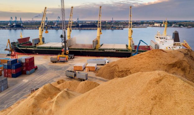 Ви зараз переглядаєте Морський експорт зерна з України повернувся до довоєнного рівня