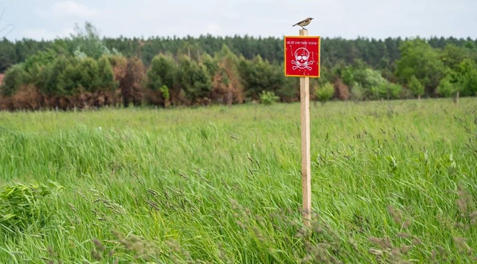 Ви зараз переглядаєте Кабмін запустив процедуру компенсації за розмінування сільгоспземель