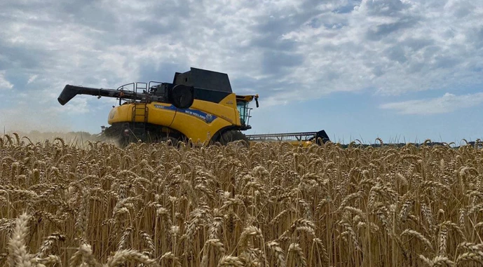 Ви зараз переглядаєте У ЄС хибне уявлення, як Україні даються мільйони тонн зернових у статистиці