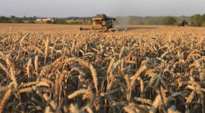 Ви зараз переглядаєте Уряд готує підняття цін на пальне: жнива можуть обійтися дорожче