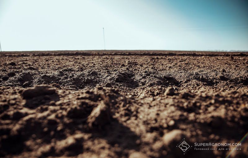 Ви зараз переглядаєте Внесення фосфору на нейтральних та лужних ґрунтах восени неефективне