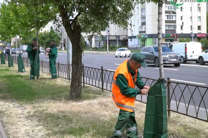 Ви зараз переглядаєте У парках та скверах Києва встановлюють спеціальні мішки для поливу дерев