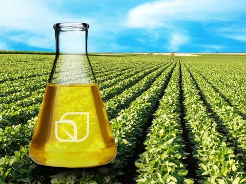 Ви зараз переглядаєте У 2024 р світове виробництво біодизеля сягне рекордних 76,3 млн т