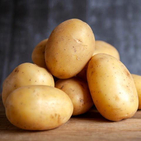 Ви зараз переглядаєте Картопля — основний продукт харчування для двох третин мешканців Землі