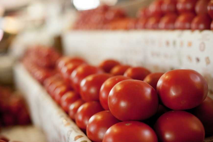 Ви зараз переглядаєте Українські тепличні комбінати змушені знижувати ціни на томати