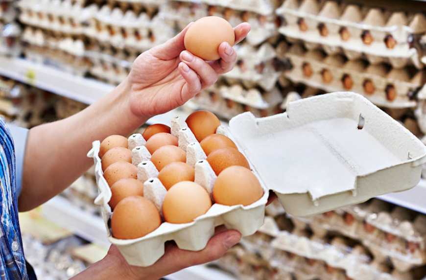 Ви зараз переглядаєте Канада відкрила свій ринок для українських яєць