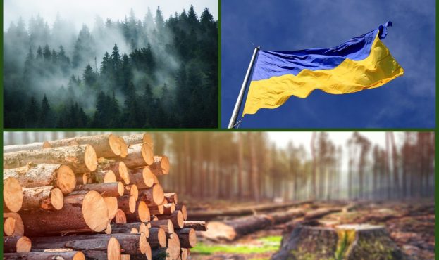 Ви зараз переглядаєте В Україні з шахрайством в лісовій галузі будуть боротися завдяки фотографії