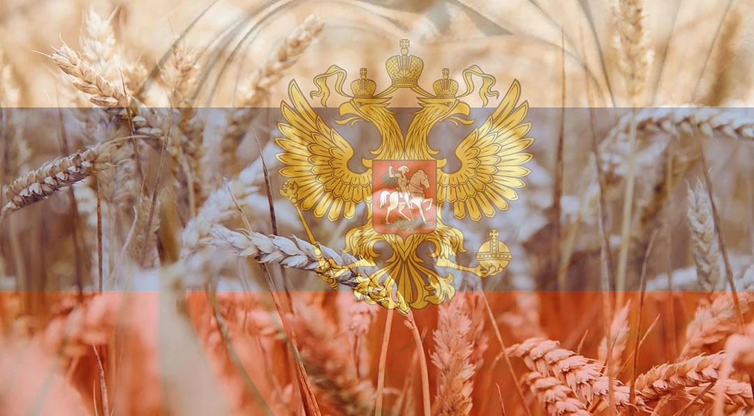 Ви зараз переглядаєте У ЄС хочуть розширити заборону на продовольство з росії та білорусі