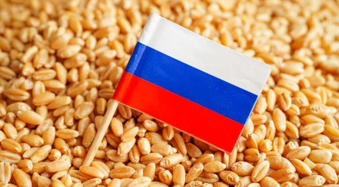 Детальніше про статтю Україна втратила торік 8,5 млн т урожаю через окупацію півдня та сходу