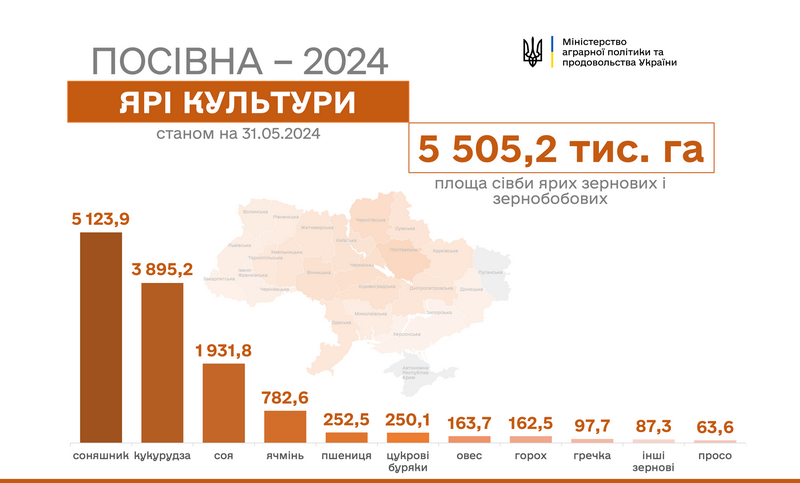 Темпи посівної кампанії 2024 станом на 31 травня