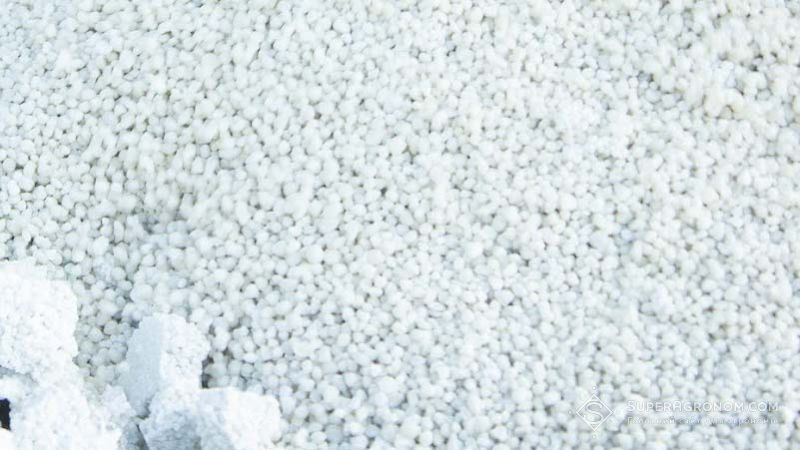 Ви зараз переглядаєте Залежність від дешевих російських карбамідних добрив пророкують Європі