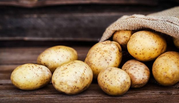 Ви зараз переглядаєте В Європі виробники картоплі вперше переживають надскладний посівний сезон