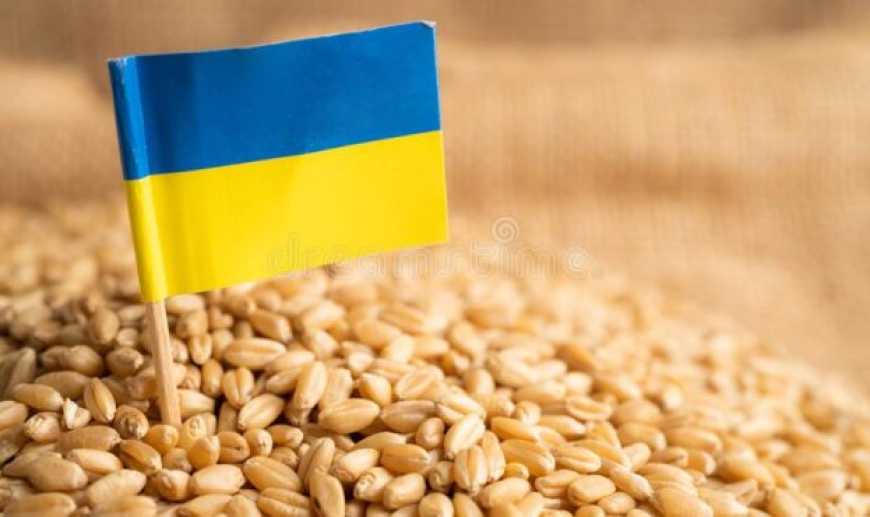 Детальніше про статтю Вже найближчим часом може запрацювати система визначення вкраденого росією українського зерна