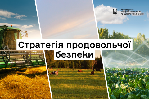 Ви зараз переглядаєте Уряд схвалив Стратегію продовольчої безпеки до 2027 року