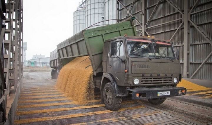 Ви зараз переглядаєте Елеватори «Агропросперіса» розпочали приймати зерно нового врожаю