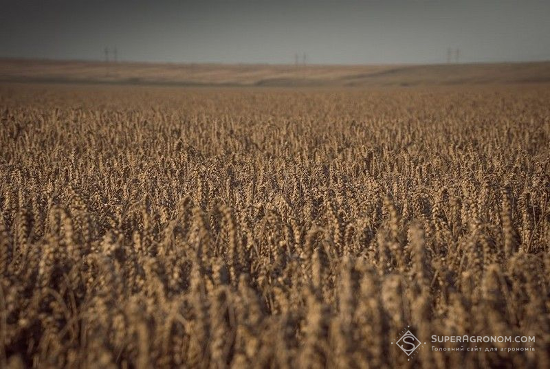 Ви зараз переглядаєте На європейських аграріїв чекають зміни, якщо Україна вступить до ЄС