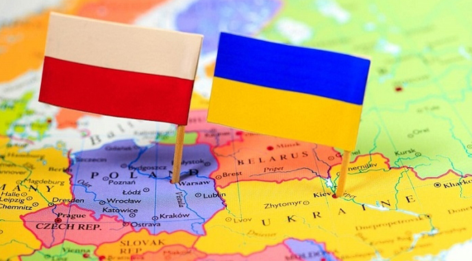 Ви зараз переглядаєте У Польщі розслідують шахрайство з українським зерном: справа стосується 75 компаній