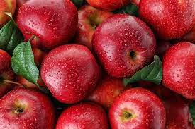 Ви зараз переглядаєте У «Садах Дніпра» розповіли, як збільшили вихід експортного яблука
