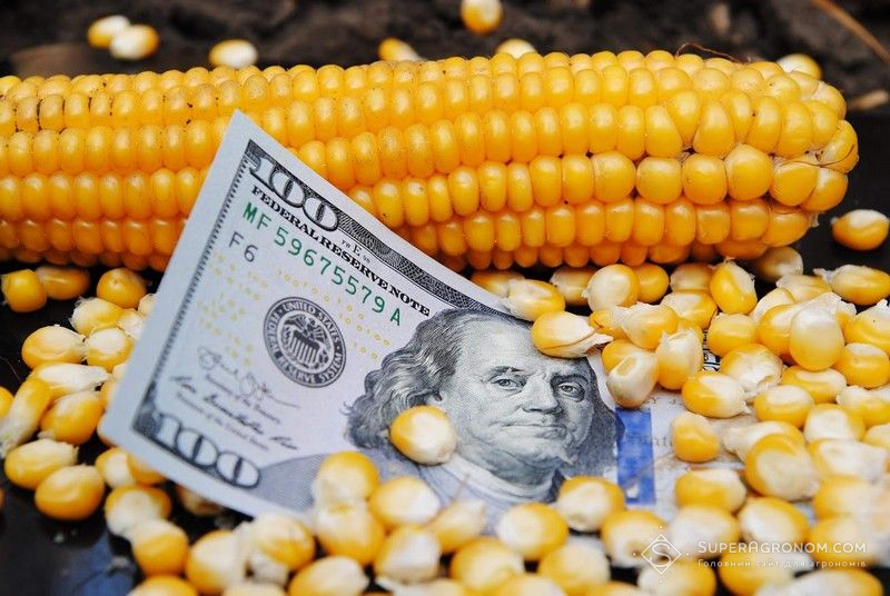 Ви зараз переглядаєте Українська кукурудза дорожчає в морських портах