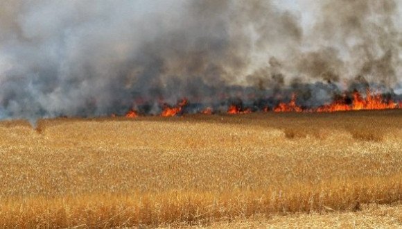 Ви зараз переглядаєте На Миколаївщині загальна площа пожеж на засіяних полях становить 171 га