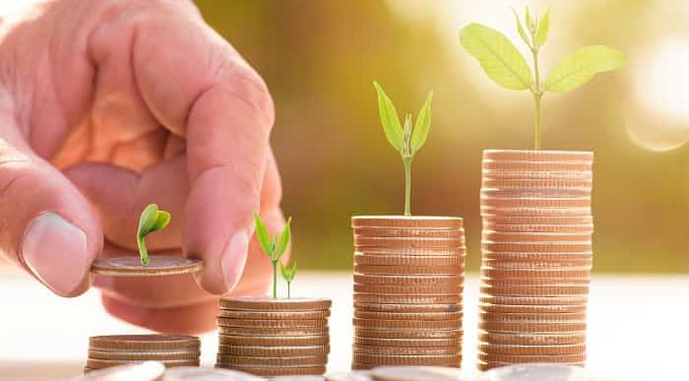 Ви зараз переглядаєте Держбюджет-2025: для грантів на садівництво та теплиці виділять 1,37 млрд грн