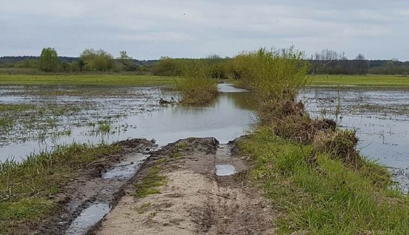 Ви зараз переглядаєте Від повені в Польщі постраждало 120 тис. га посівів кукурудзи, сої, цукрових буряків та картоплі