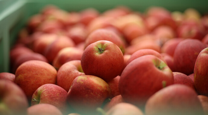 Ви зараз переглядаєте На гуртових ринках прогнозують нестачу вітчизняного яблука