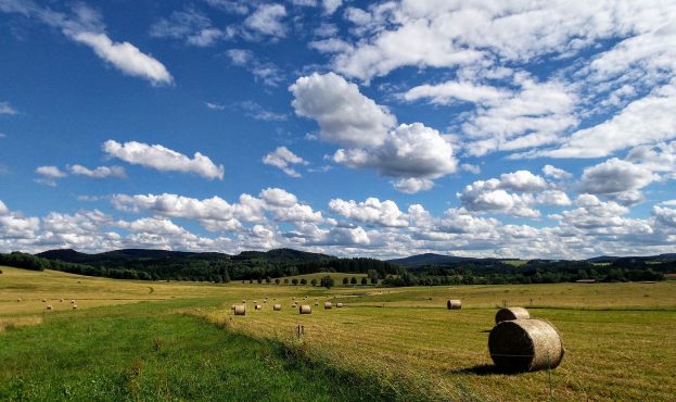 Ви зараз переглядаєте Перший місяць аукціонів «Земельного банку» вже приніс до бюджету майже 35 млн грн