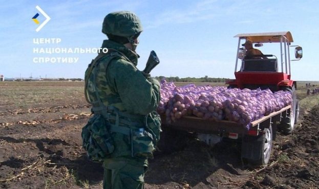 Ви зараз переглядаєте На Херсонщині окупанти відбиратимуть овочі у фермерів