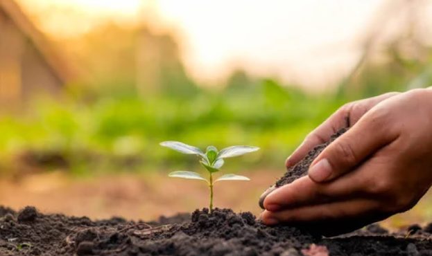 Ви зараз переглядаєте Уряд запускає реєстр е-рослинництво