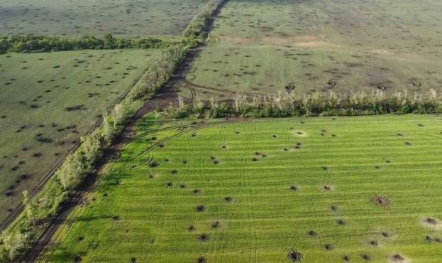 Ви зараз переглядаєте В Україні від початку повномасштабного вторгнення закрилося понад 1200 агропідприємств