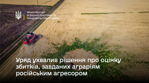 Ви зараз переглядаєте Уряд ухвалив рішення про оцінку збитків, завданих аграріям російським агресором